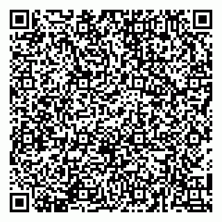vCard 79141487275