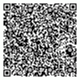 vCard 79141487276