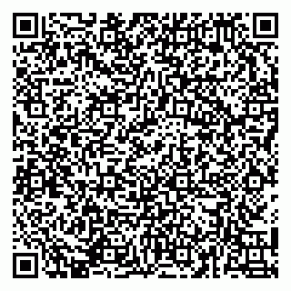 vCard 79141487278