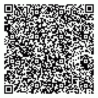 vCard 79141487283