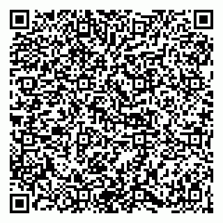 vCard 79141487287