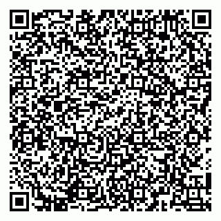 vCard 79141487289