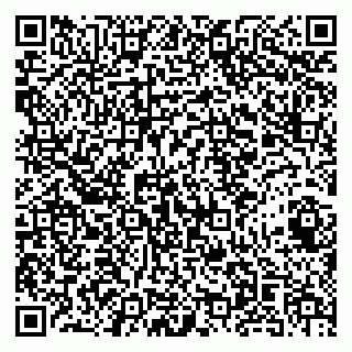 vCard 79141487293