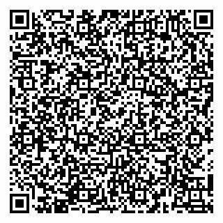 vCard 79141487294