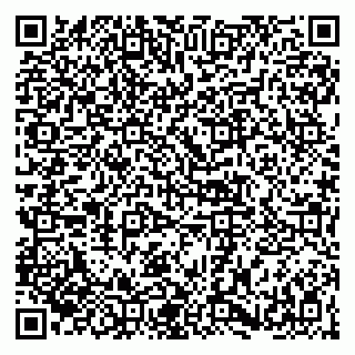vCard 79141487295