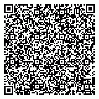 vCard 79141487296