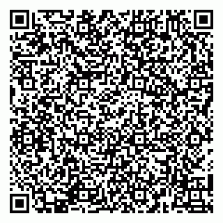 vCard 79141487297