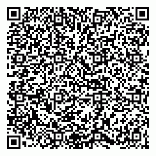 vCard 79141487299
