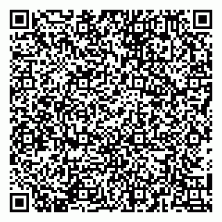 vCard 79141487300