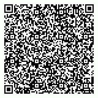 vCard 79141487301