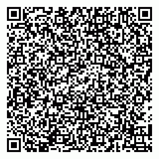 vCard 79141487307