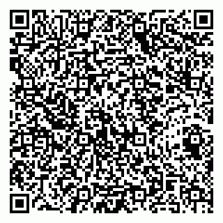 vCard 79141487308