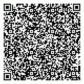 vCard 79141487311