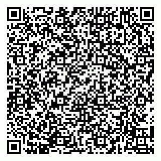 vCard 79141487312