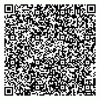 vCard 79141487313