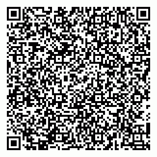 vCard 79141487315