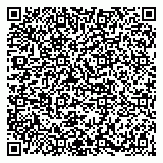 vCard 79141487319