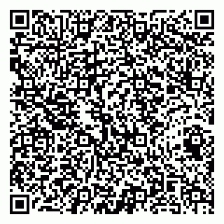 vCard 79141487320