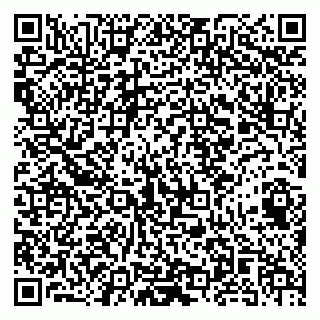 vCard 79141487321
