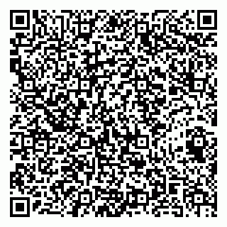vCard 79141487323