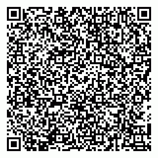 vCard 79141487324