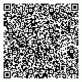 vCard 79141487326