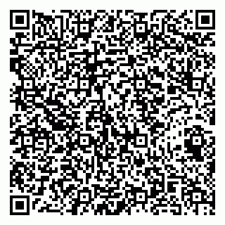 vCard 79141487327