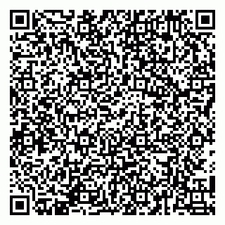 vCard 79141487329
