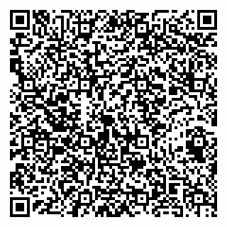vCard 79141487330