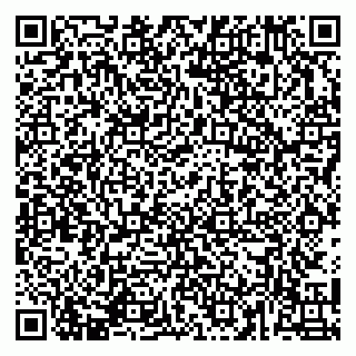 vCard 79141487331