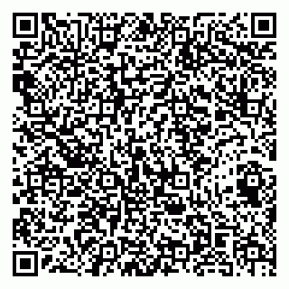 vCard 79141487332