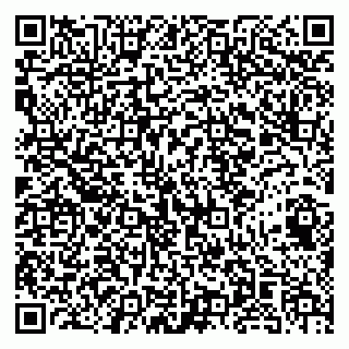 vCard 79141487333