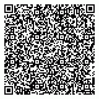 vCard 79141487335