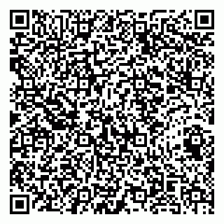 vCard 79141487338