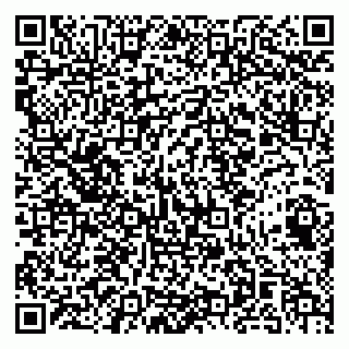 vCard 79141487347