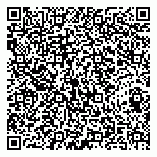 vCard 79141487348