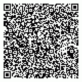 vCard 79141487349