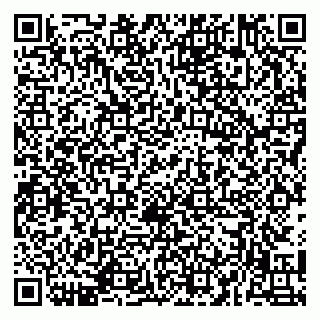 vCard 79141487353
