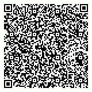 vCard 79141487356