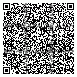 vCard 79141487360