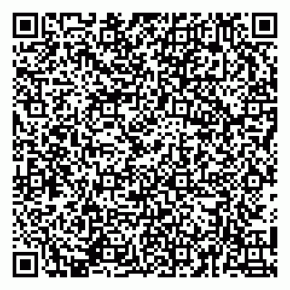 vCard 79141487365