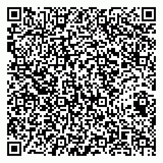 vCard 79141487371