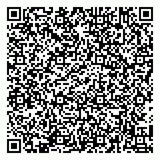 vCard 79141487373