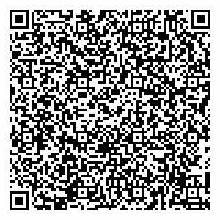 vCard 79141487377