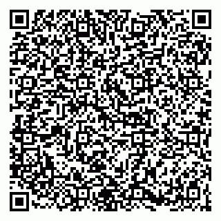 vCard 79141487379