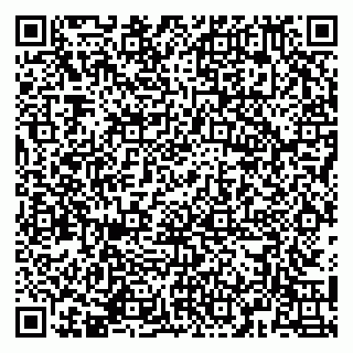 vCard 79141487380