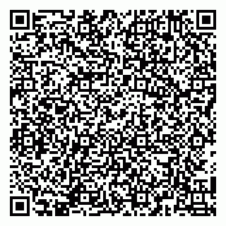 vCard 79141487381