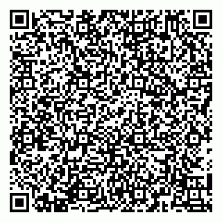 vCard 79141487382