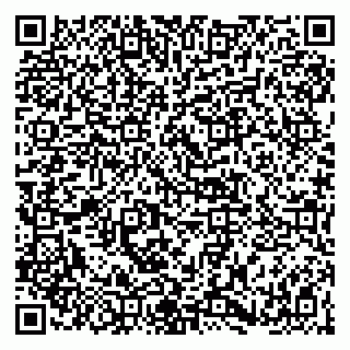 vCard 79141487383