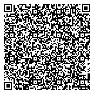 vCard 79141487384